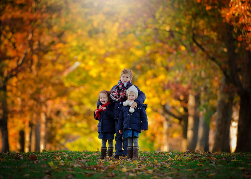 Fall picture with colorful trees