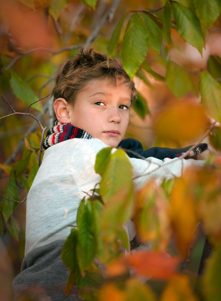 Boy in tree with colorful leaves